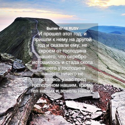 Picture 04 - Бытие 47:18 RUSV - И прошел этот год; и пришли - Bible Verse Picture