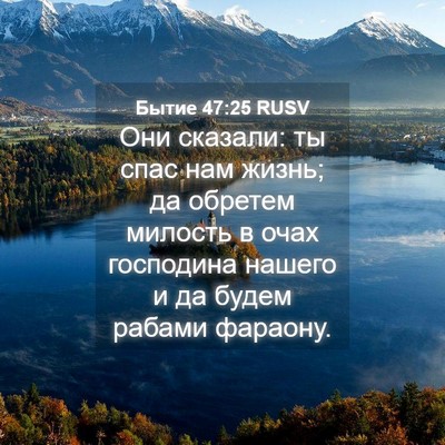 Picture 04 - Бытие 47:25 RUSV - Они сказали: ты спас нам - Bible Verse Picture