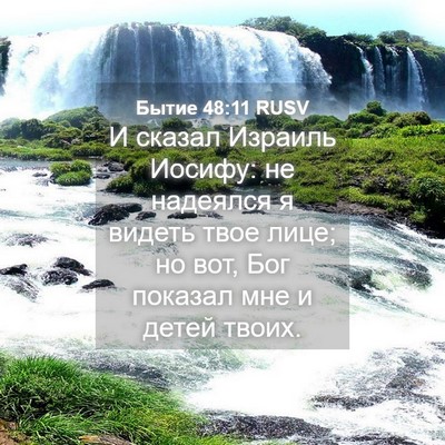 Picture 04 - Бытие 48:11 RUSV - И сказал Израиль Иосифу: не - Bible Verse Picture