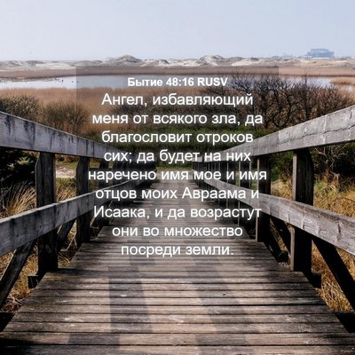 Picture 04 - Бытие 48:16 RUSV - Ангел, избавляющий меня от - Bible Verse Picture