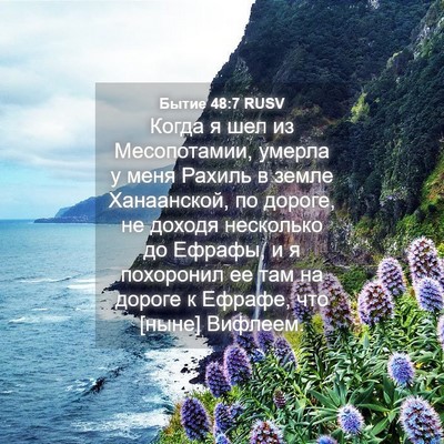 Picture 04 - Бытие 48:7 RUSV - Когда я шел из Месопотамии, - Bible Verse Picture