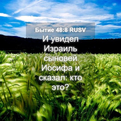 Picture 04 - Бытие 48:8 RUSV - И увидел Израиль сыновей - Bible Verse Picture