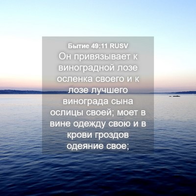 Picture 04 - Бытие 49:11 RUSV - Он привязывает к - Bible Verse Picture