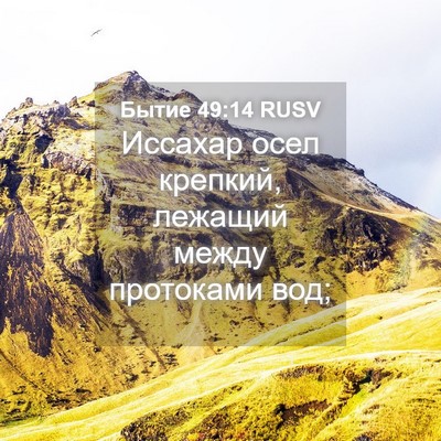 Picture 04 - Бытие 49:14 RUSV - Иссахар осел крепкий, - Bible Verse Picture