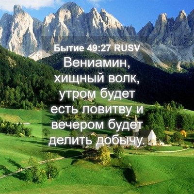 Picture 04 - Бытие 49:27 RUSV - Вениамин, хищный волк, - Bible Verse Picture