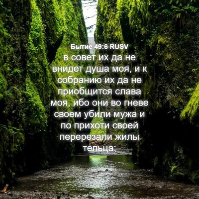 Picture 04 - Бытие 49:6 RUSV - в совет их да не внидет - Bible Verse Picture
