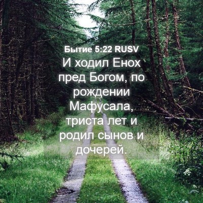 Picture 04 - Бытие 5:22 RUSV - И ходил Енох пред Богом, по - Bible Verse Picture
