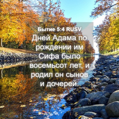Picture 04 - Бытие 5:4 RUSV - Дней Адама по рождении им - Bible Verse Picture