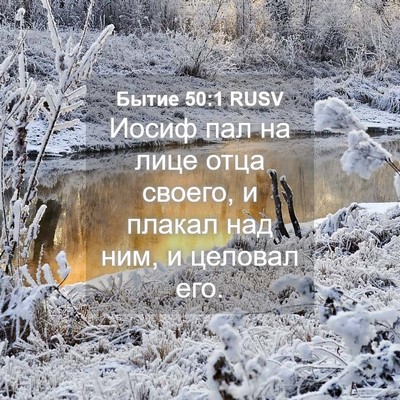 Picture 04 - Бытие 50:1 RUSV - Иосиф пал на лице отца - Bible Verse Picture