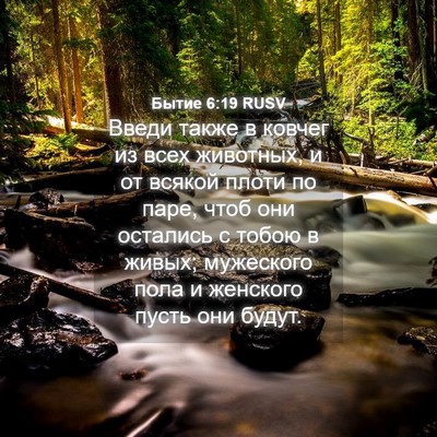 Picture 04 - Бытие 6:19 RUSV - Введи также в ковчег из - Bible Verse Picture