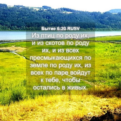 Picture 04 - Бытие 6:20 RUSV - Из птиц по роду их, и из - Bible Verse Picture