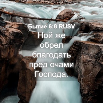 Picture 04 - Бытие 6:8 RUSV - Ной же обрел благодать - Bible Verse Picture