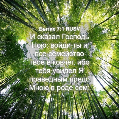 Picture 04 - Бытие 7:1 RUSV - И сказал Господь Ною: войди - Bible Verse Picture
