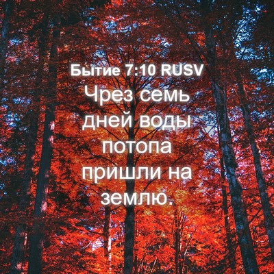 Picture 04 - Бытие 7:10 RUSV - Чрез семь дней воды потопа - Bible Verse Picture