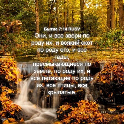 Picture 04 - Бытие 7:14 RUSV - Они, и все звери по роду их, - Bible Verse Picture