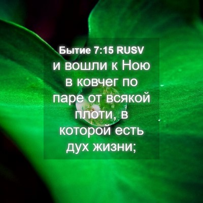 Picture 04 - Бытие 7:15 RUSV - и вошли к Ною в ковчег по - Bible Verse Picture