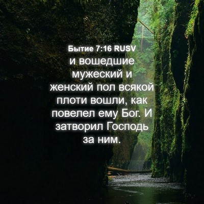 Picture 04 - Бытие 7:16 RUSV - и вошедшие мужеский и - Bible Verse Picture