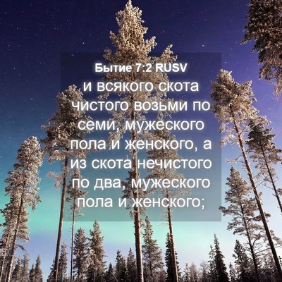 Picture 04 - Бытие 7:2 RUSV - и всякого скота чистого - Bible Verse Picture