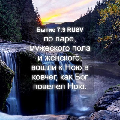 Picture 04 - Бытие 7:9 RUSV - по паре, мужеского пола и - Bible Verse Picture