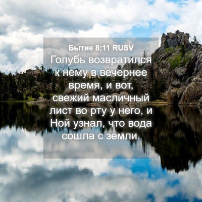 Picture 04 - Бытие 8:11 RUSV - Голубь возвратился к нему - Bible Verse Picture