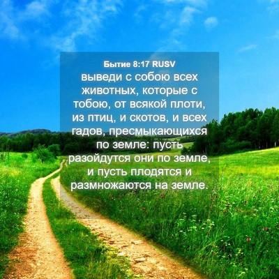 Picture 04 - Бытие 8:17 RUSV - выведи с собою всех - Bible Verse Picture