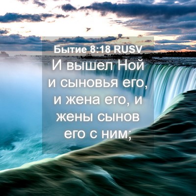 Picture 04 - Бытие 8:18 RUSV - И вышел Ной и сыновья его, и - Bible Verse Picture