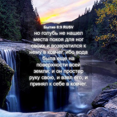 Picture 04 - Бытие 8:9 RUSV - но голубь не нашел места - Bible Verse Picture