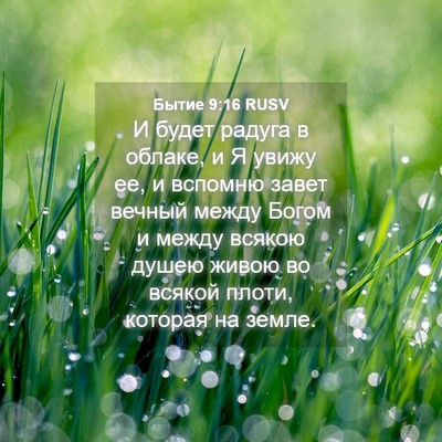 Picture 04 - Бытие 9:16 RUSV - И будет радуга в облаке, и Я - Bible Verse Picture