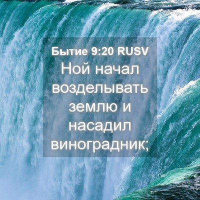 Picture 04 - Бытие 9:20 RUSV - Ной начал возделывать - Bible Verse Picture