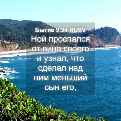 Picture 04 - Бытие 9:24 RUSV - Ной проспался от вина - Bible Verse Picture
