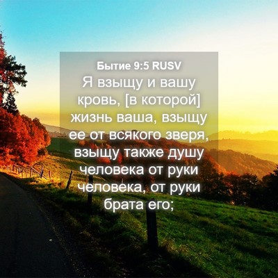 Picture 04 - Бытие 9:5 RUSV - Я взыщу и вашу кровь, [в - Bible Verse Picture