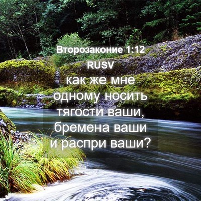 Picture 04 - Второзаконие 1:12 RUSV - как же мне одному носить - Bible Verse Picture