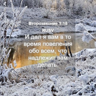 Picture 04 - Второзаконие 1:18 RUSV - И дал я вам в то время - Bible Verse Picture