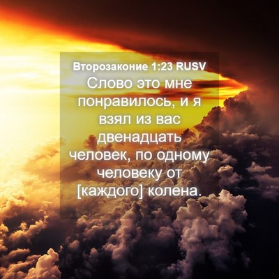Picture 04 - Второзаконие 1:23 RUSV - Слово это мне понравилось, - Bible Verse Picture
