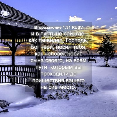 Picture 04 - Второзаконие 1:31 RUSV - и в пустыне сей, где, как ты - Bible Verse Picture