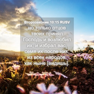 Picture 04 - Второзаконие 10:15 RUSV - но только отцов твоих - Bible Verse Picture