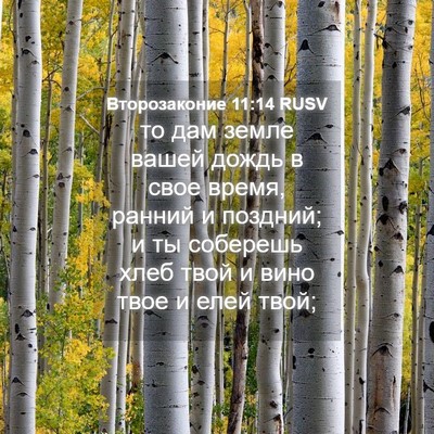 Picture 04 - Второзаконие 11:14 RUSV - то дам земле вашей дождь в - Bible Verse Picture