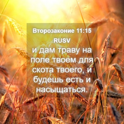 Picture 04 - Второзаконие 11:15 RUSV - и дам траву на поле твоем - Bible Verse Picture