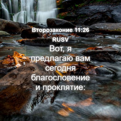 Picture 04 - Второзаконие 11:26 RUSV - Вот, я предлагаю вам - Bible Verse Picture