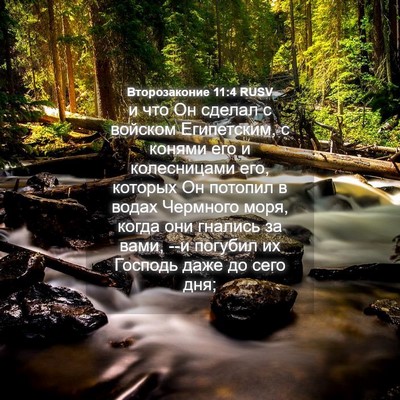 Picture 04 - Второзаконие 11:4 RUSV - и что Он сделал с войском - Bible Verse Picture