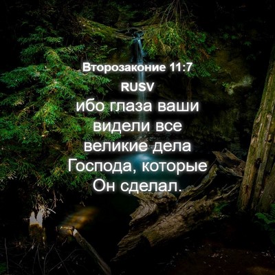Picture 04 - Второзаконие 11:7 RUSV - ибо глаза ваши видели все - Bible Verse Picture