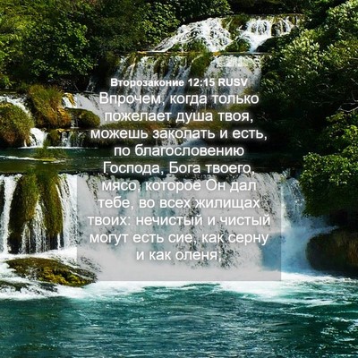 Picture 04 - Второзаконие 12:15 RUSV - Впрочем, когда только - Bible Verse Picture