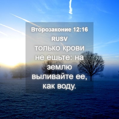 Picture 04 - Второзаконие 12:16 RUSV - только крови не ешьте: на - Bible Verse Picture