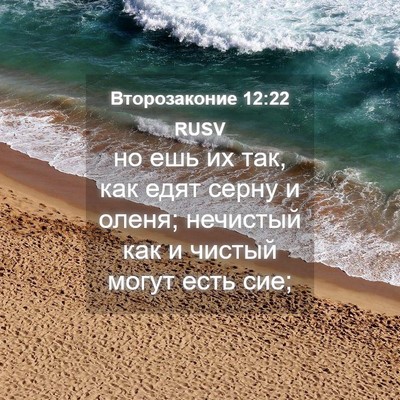 Picture 04 - Второзаконие 12:22 RUSV - но ешь их так, как едят - Bible Verse Picture
