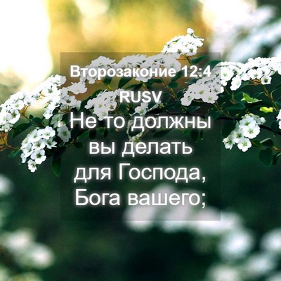Picture 04 - Второзаконие 12:4 RUSV - Не то должны вы делать для - Bible Verse Picture