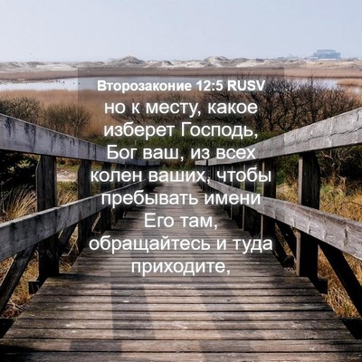 Picture 04 - Второзаконие 12:5 RUSV - но к месту, какое изберет - Bible Verse Picture