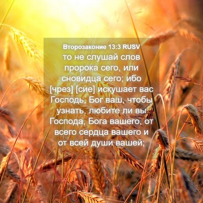 Picture 04 - Второзаконие 13:3 RUSV - то не слушай слов пророка - Bible Verse Picture