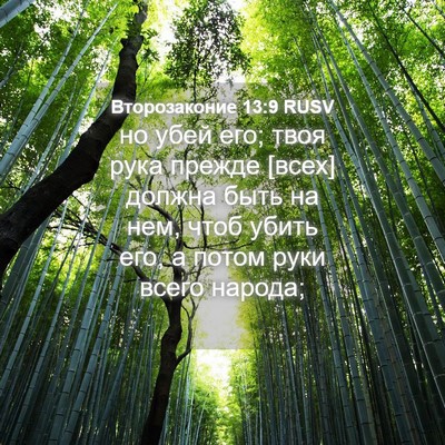 Picture 04 - Второзаконие 13:9 RUSV - но убей его; твоя рука - Bible Verse Picture