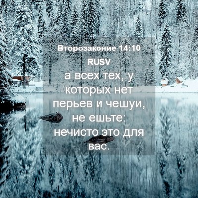 Picture 04 - Второзаконие 14:10 RUSV - а всех тех, у которых нет - Bible Verse Picture