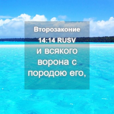 Picture 04 - Второзаконие 14:14 RUSV - и всякого ворона с породою - Bible Verse Picture